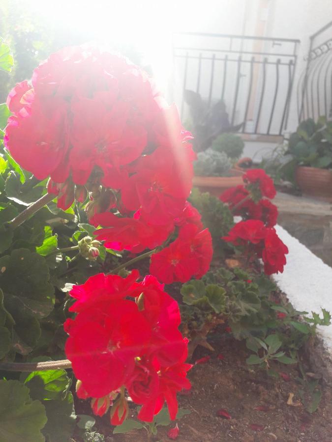 Dionysios Studios Skala  Exteriér fotografie